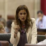 La agencia contratante depende de la consejería que dirige Sonia Gaya