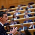 Pedro Sánchez en el Senado/Ap