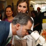 Los Reyes Felipe y Letizia visitan los laboratorios de genómica regulatoria y del ciclo celular del Instituto de Investigación Biomédica Francis Crick de Londres