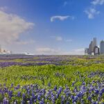 Renfe y Adif se adjudican un histórico proyecto de alta velocidad para unir Houston y Dallas