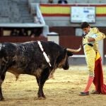 El extremeño se cruza con uno de sus novillos de Nazario Ibáñez del año pasado