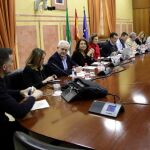 El grupo de trabajo del Parlamento no llevará sus conclusiones a la Cámara hasta abril