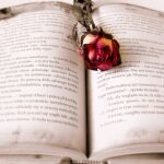 5 razones para decir «Sí, quiero» a la novela romántica