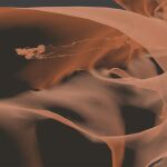 Imagen tridimensional de la Cueva de los Verdes