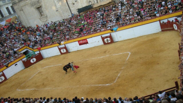 La puja regula la adquisición de los veintisiete tendidos o cadafales que componen la peculiar plaza de toros algemesinense