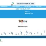 Una app permitirá identificar las aves que vemos cada día
