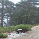 Nieve en el puerto de Navacerrada esta mañana