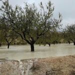 La crecida del río Mula provocó inundaciones y el corte de una carretera
