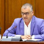 El consejero de Empleo, Javier Carnero, ayer en comisión parlamentaria (Foto: Ep)