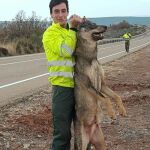 Asociación para la Conservación y Estudio del Lobo Ibérico (ASCEL)