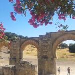 Medina Azahara: la Ciudad Brillante