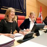 La consejera Pilar del Olmo comparece para informar sobre los planes previstos de reindustrialización