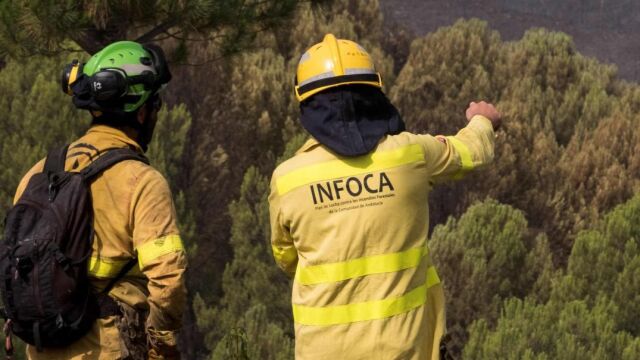 La agencia Amaya es la encargada de ejecutar la política ambiental que diseña el Gobierno andaluz (Foto: Efe)