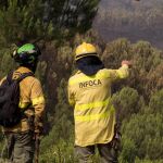 La agencia Amaya es la encargada de ejecutar la política ambiental que diseña el Gobierno andaluz (Foto: Efe)