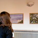 Una joven visita la exposición «Naturaleza Infinita» expuesta en el Palacio Pimentel de Valladolid