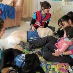Los datos del proyecto «Un perro, un niño feliz» se utilizarán para enfocar la colaboración de estos animales en otros tipos de problemática social