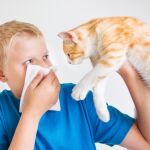 Alergia a mascotas: la ‘cara b’ de tu amigo más fiel