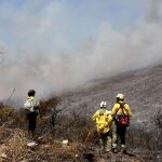 Efectivos del Plan Infoca observan un hidroavión que descarga agua para la extinción del fuego declarado en los montes de la urbanización Santa Margarita, en la Línea de la Concepción (Cádiz)