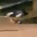 Imagen de vídeo de dos de los terroristas abatidos