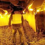 Agentes de la Policía, en una plantación de marihuana en Toledo durante la última operación realizada en la que se ha detenido a ciudadanos de origen chino