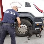 Un agente con un perro policía durante los registros en un camión en Ceuta