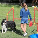 «Familia canina»: Un programa municipal que reeduca a los perros para disfrutar de su compañía