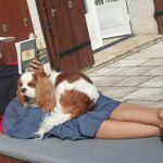 Carla de la Lá nos acompañará cada fin de semana con sus ingeniosas percepciones de la vida mundana (y seria)