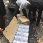 Dinero incautado (200 millones de bolívares, al cambio 51.000 euros)