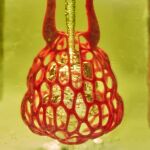 La técnica usa luz proyectada y resinas fotorreactivas para crear objetos sólidos, los aditivos que la absorben, paran los procesos no deseados | Rice University