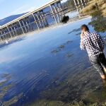 Vista del Viaducto de la Ría de Arousa, en la autovía AG-11, bajo el que apareció el teléfono móvil de Diana Quer