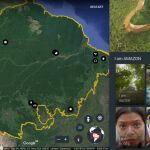Un ejemplo del «viaje» interactivo por la Amazonía