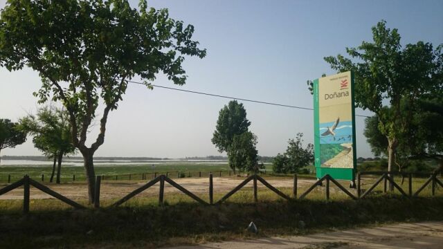 Doñana es uno de los humedales de referencia de Europa