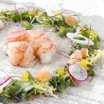 King Crab en ensalada de emulsión de huevas y citricos