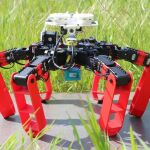 AntBot / ISM