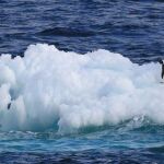 La Antártida conserva hoy el paisaje común en la Edad de Hielo