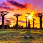 Madagascar, la gran isla del Índico