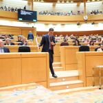 El presidente del Gobierno, Pedro Sánchez, en el Senado / Foto: Luis Díaz