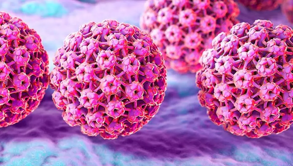 La vacuna neutraliza el virus del papiloma humano (VPH)