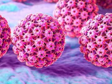 La vacuna neutraliza el virus del papiloma humano (VPH)