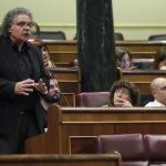 El portavoz de ERC en el Congreso, Joan Tardà.