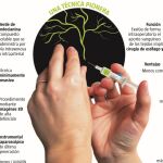 Una técnica pionera
