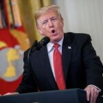 El presidente estadounidense, Donald Trump / Foto: Efe