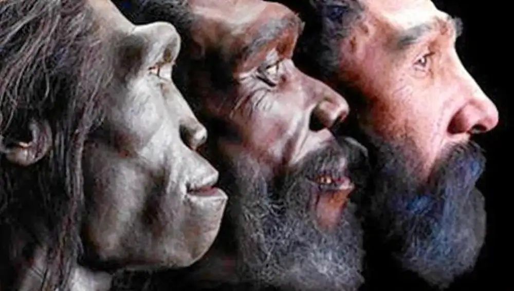 La mandíbula que tiene la clave de la evolución
