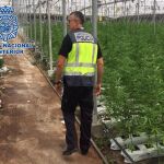 Las instalaciones estaban ocultas en una zona de invernaderos del Paraje Los Coscurros de Motril.
