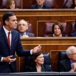 El presidente del Gobierno, Pedro Sánchez, durante su intervención en la sesión de control al Gobierno hoy en el pleno del Congreso de los Diputados. Foto: Efe / Javier Lizón