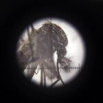 Un mosquito Aedes Aegypt visto al microscopio