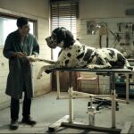 Escena de "Dogman", de Matteo Garrone
