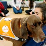 «Compludog» está dirigido a los alumnos de la universidad que sufren de estrés y ansiedad a lo largo de su carrera