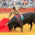 Manzanares, en un derechazo al quinto toro de la tarde al que cortó una oreja en Sevilla / Foto: Manuel Olmedo