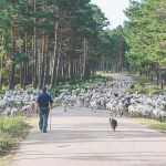 Hacerse socio del campo para salvarlo